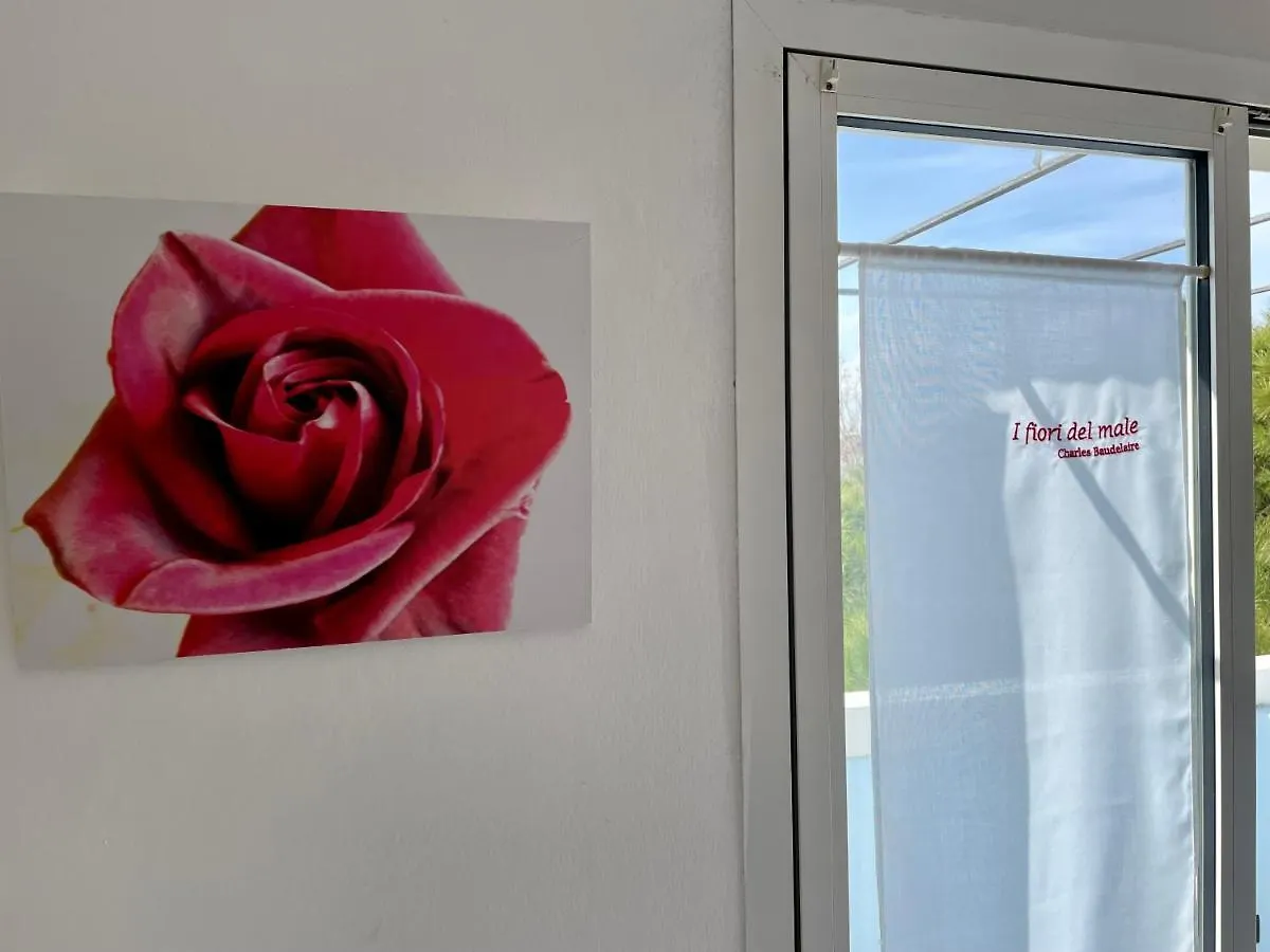 Hotel Morri - Il Biblihotel Riccione Italy